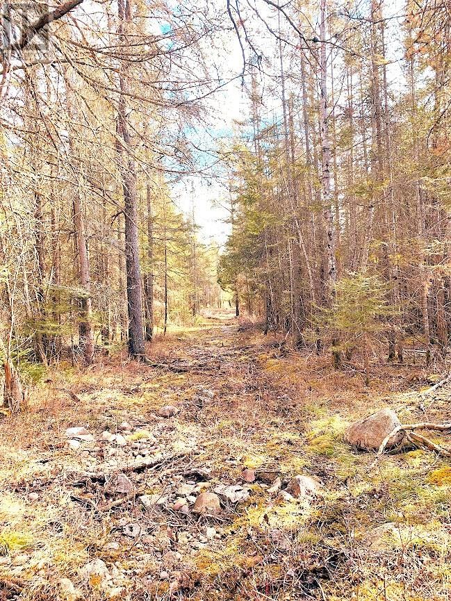 494 WALKHOUSE ROAD Image 37