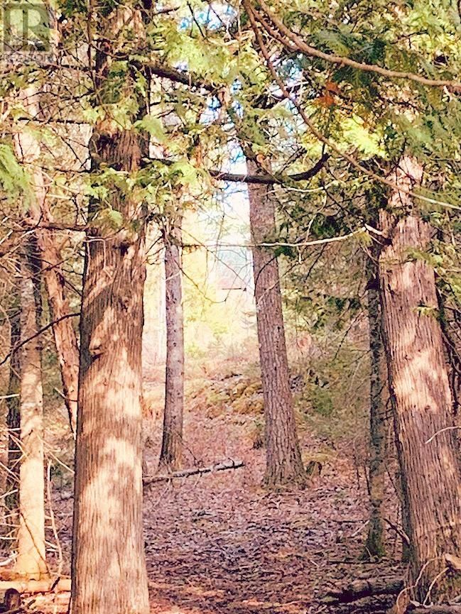 494 WALKHOUSE ROAD Image 38