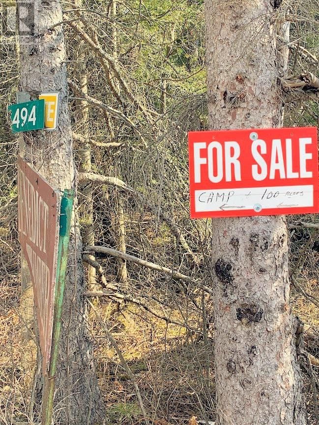 494 WALKHOUSE ROAD Image 39