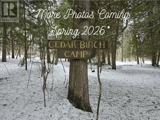 364 TRIPLE D TRAIL Image 2