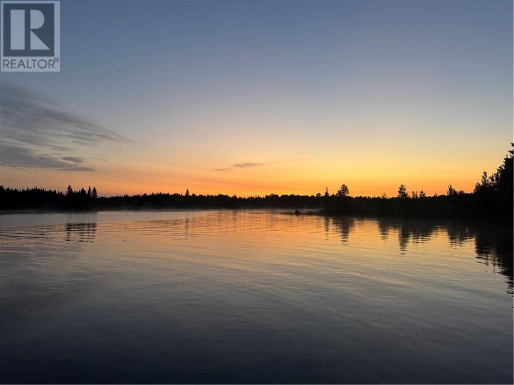 364 TRIPLE D TRAIL Image 24