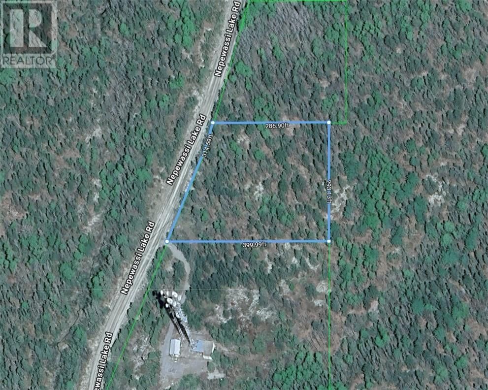 121 NEPEWASSI LAKE ROAD Image 11