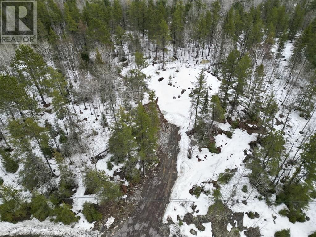 121 NEPEWASSI LAKE ROAD Image 3