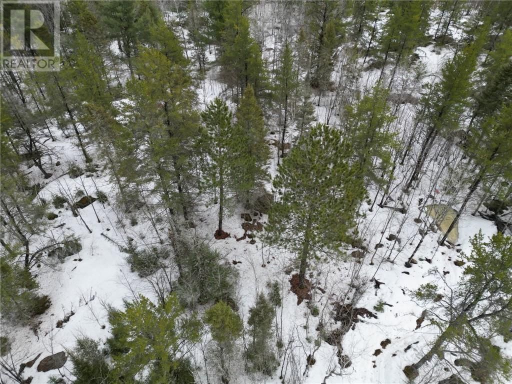 121 NEPEWASSI LAKE ROAD Image 4