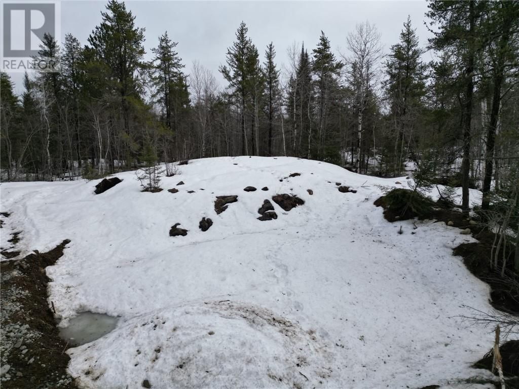 121 NEPEWASSI LAKE ROAD Image 6