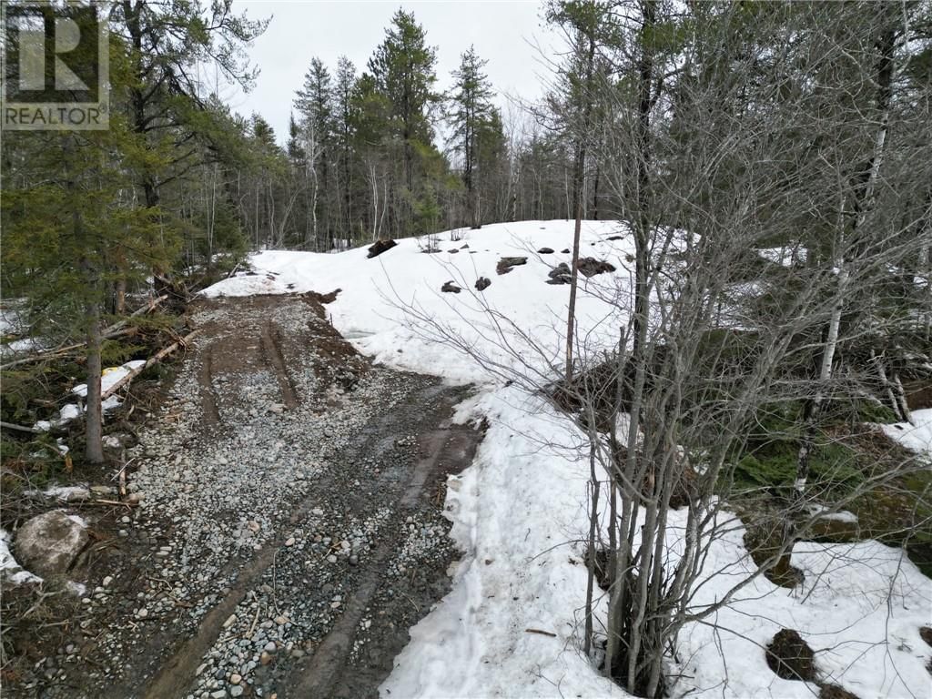 121 NEPEWASSI LAKE ROAD Image 7