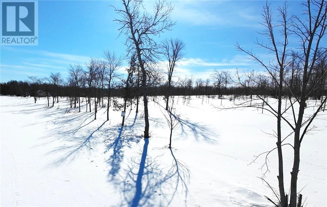 Part 4 N'GOKAN MILKAN ROAD Image 7