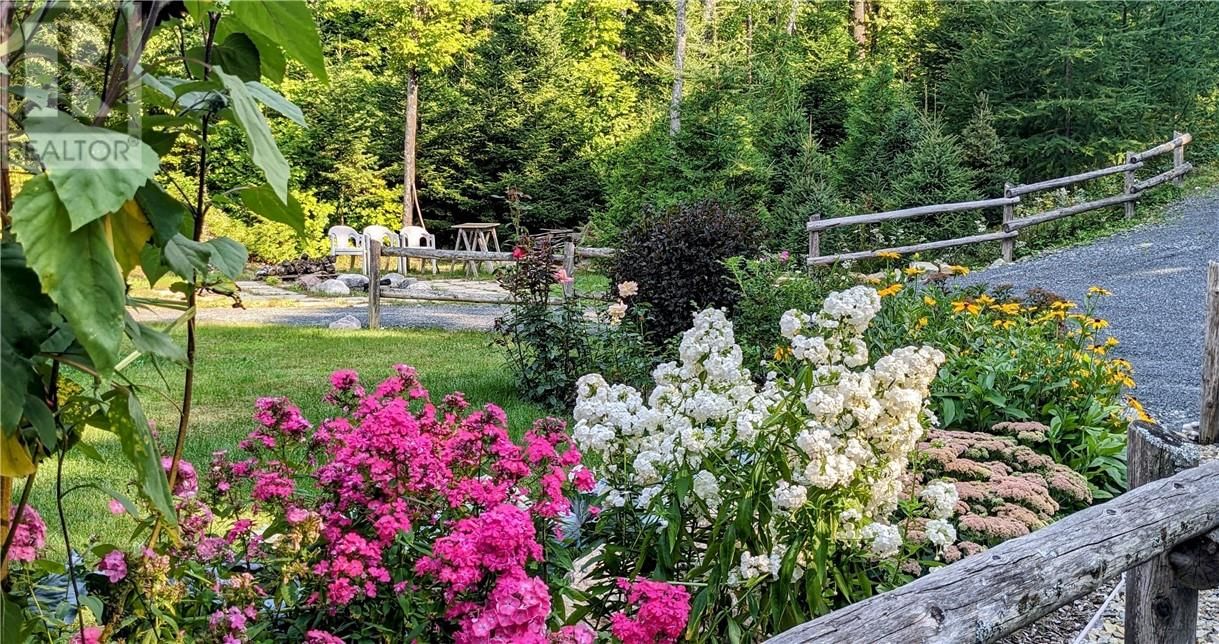 82 BOBCAT TRAIL Image 53