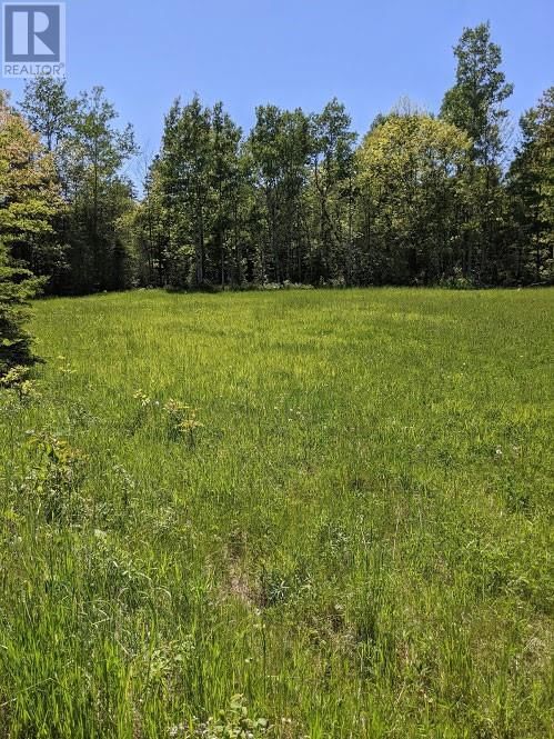 PL9C15 ASSIGINACK Image 10