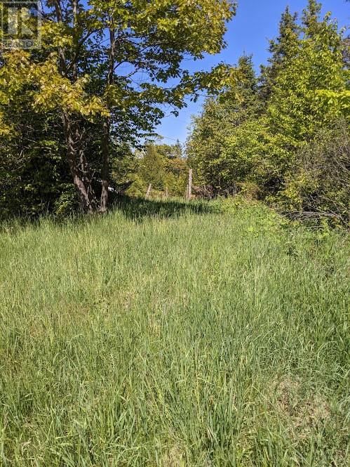 PL9C15 ASSIGINACK Image 11