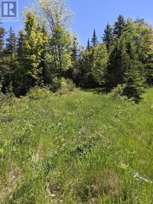 PL9C15 ASSIGINACK Image 12