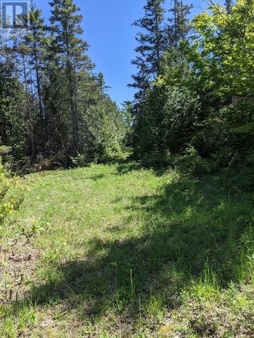 PL9C15 ASSIGINACK Image 13