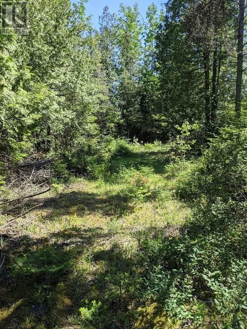 PL9C15 ASSIGINACK Image 14