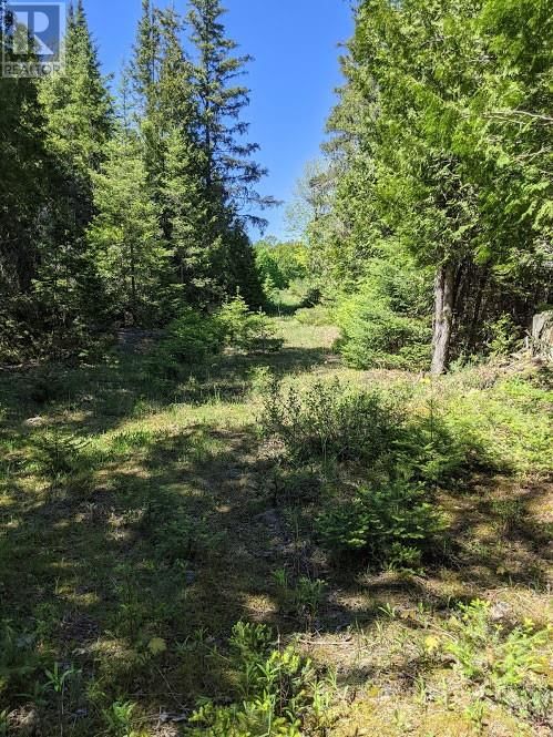 PL9C15 ASSIGINACK Image 15