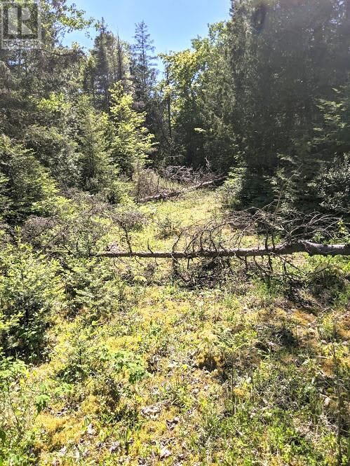 PL9C15 ASSIGINACK Image 16