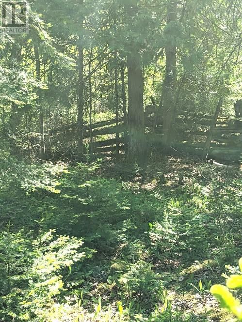 PL9C15 ASSIGINACK Image 17