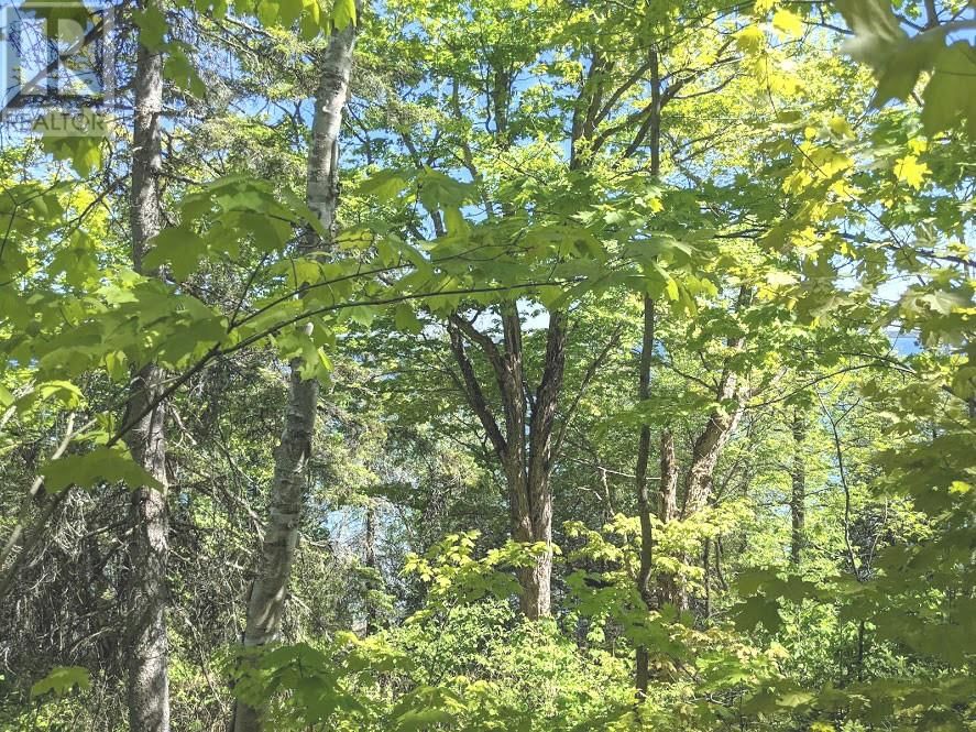 PL9C15 ASSIGINACK Image 18