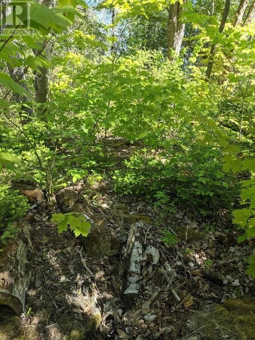 PL9C15 ASSIGINACK Image 19