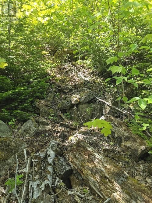 PL9C15 ASSIGINACK Image 20