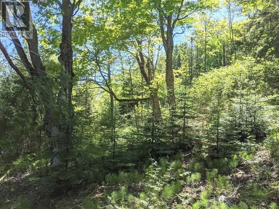 PL9C15 ASSIGINACK Image 27