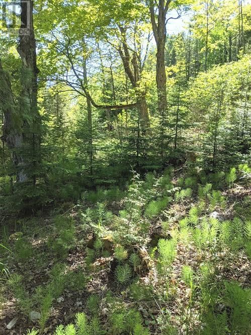 PL9C15 ASSIGINACK Image 28