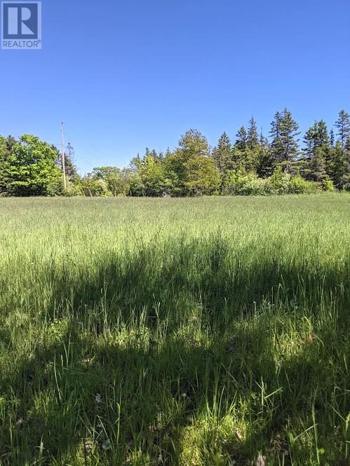 PL9C15 ASSIGINACK Image 8