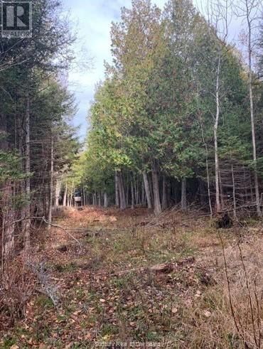20751 HIGHWAY 6 Image 10