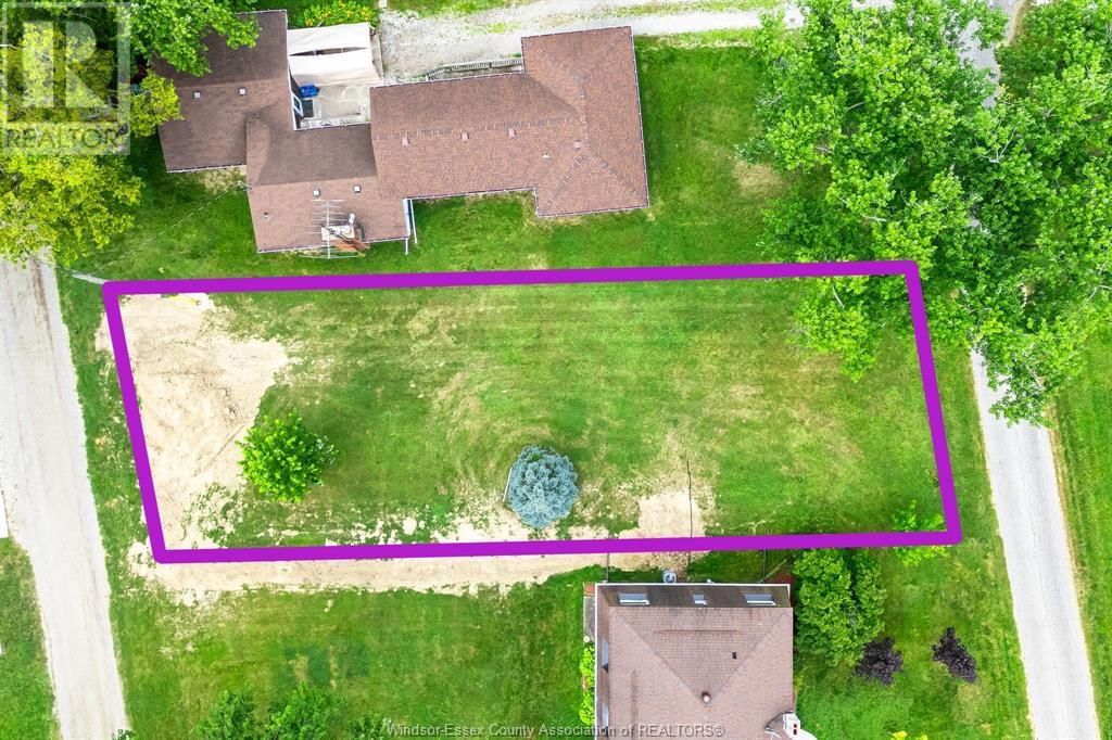 Primary Property View