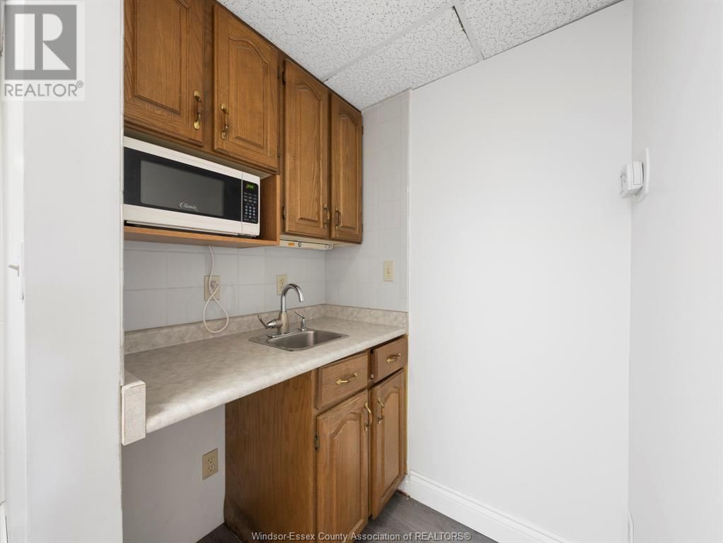 1038 Lesperance Unit# MAIN Image 11