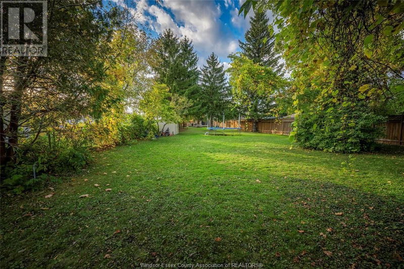 1584 CURRY null  Windsor, N9B3P1 | Image 7