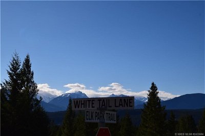 Image #1 of Commercial for Sale at 7061 White Tail Lane, Radium Hot Springs, British Columbia
