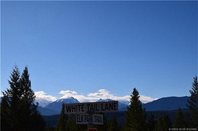 Image #1 of Commercial for Sale at 7061 White Tail Lane, Radium Hot Springs, British Columbia