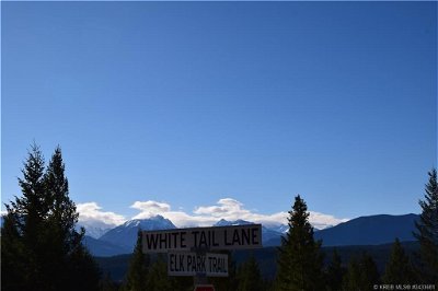 Image #1 of Commercial for Sale at 7045 White Tail Lane, Radium Hot Springs, British Columbia
