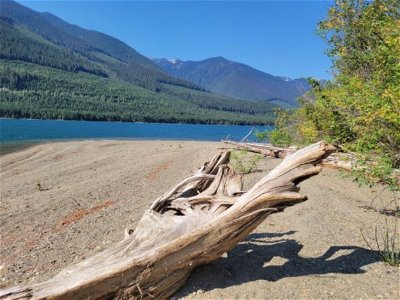 Image #1 of Commercial for Sale at 8447 Highway 31, Trout Lake, British Columbia