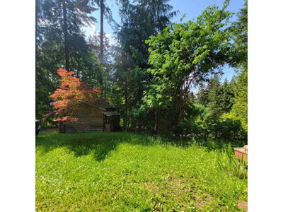 Commercial for Sale in British-columbia