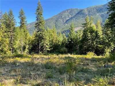 Image #1 of Commercial for Sale at 4553 Slocan River Road, Passmore, British Columbia