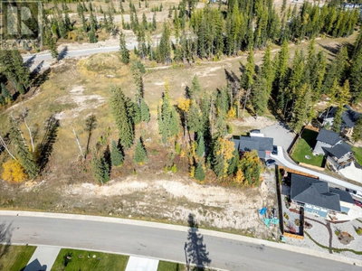 2268 BLACK HAWK Drive | Sparwood British Columbia | Slide Image Two