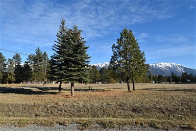 Image #1 of Commercial for Sale at Lot A Dogwood Road, Wasa, British Columbia