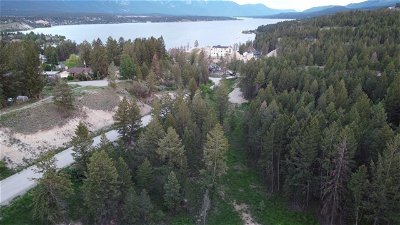 Image #1 of Commercial for Sale at 817 Kpokl Road, Invermere, British Columbia