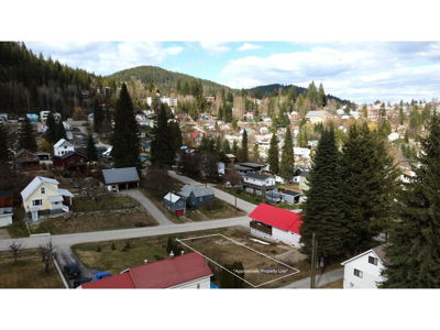 Commercial for Sale in British-columbia