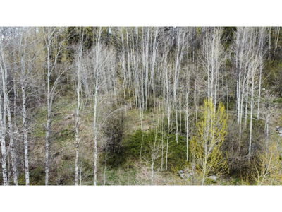 Commercial for Sale in British-columbia