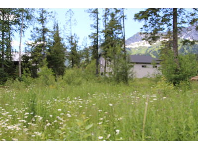 Commercial for Sale in British-columbia