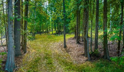 Image #1 of Commercial for Sale at Lot 3 - Lot #3 Simmons Road, Creston, British Columbia