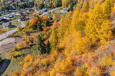 Image #1 of Commercial for Sale at Lot A Robson Access Road, Castlegar, British Columbia