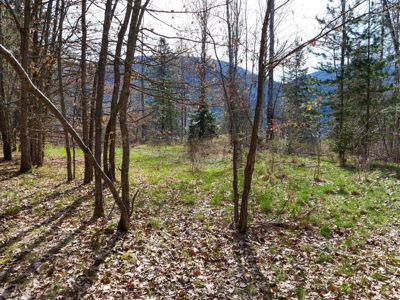 Commercial for Sale in British-columbia