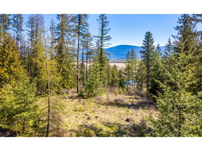 Commercial for Sale in British-columbia