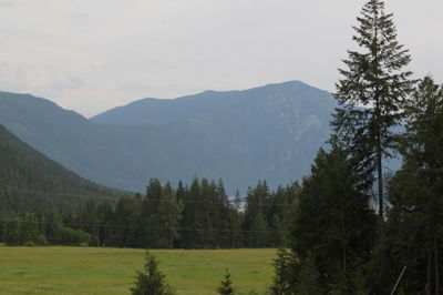 Commercial for Sale in British-columbia