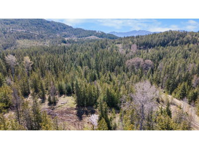 Commercial for Sale in British-columbia