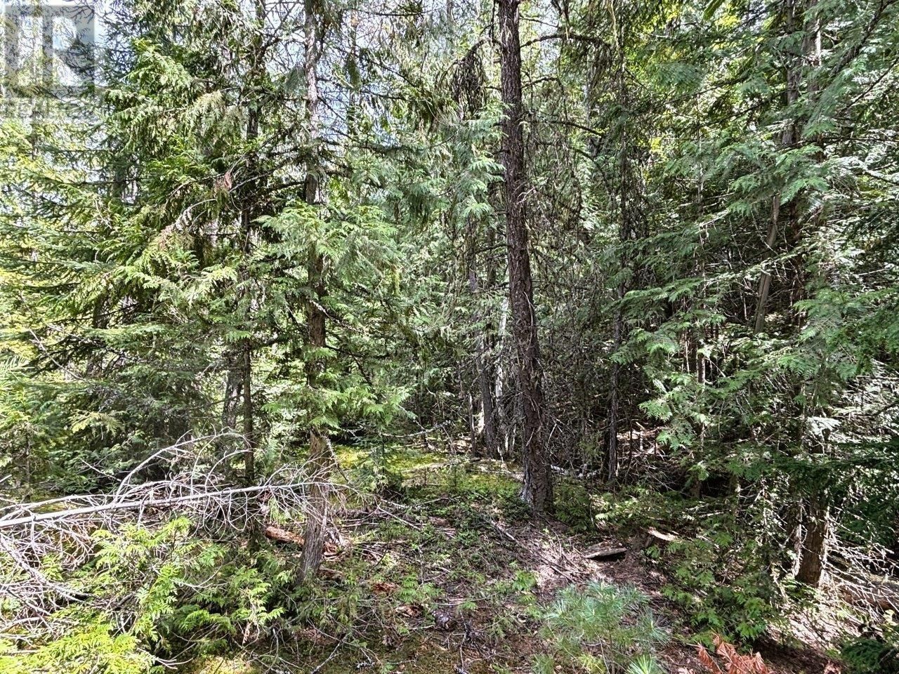 Lot 34 PASS CREEK Road Image 27