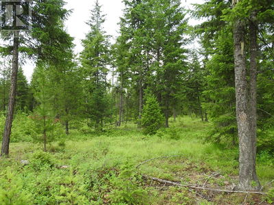 Commercial for Sale in Canada